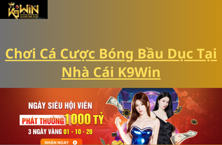 Chơi Cá Cược Bóng Bầu Dục Tại Nhà Cái K9Win